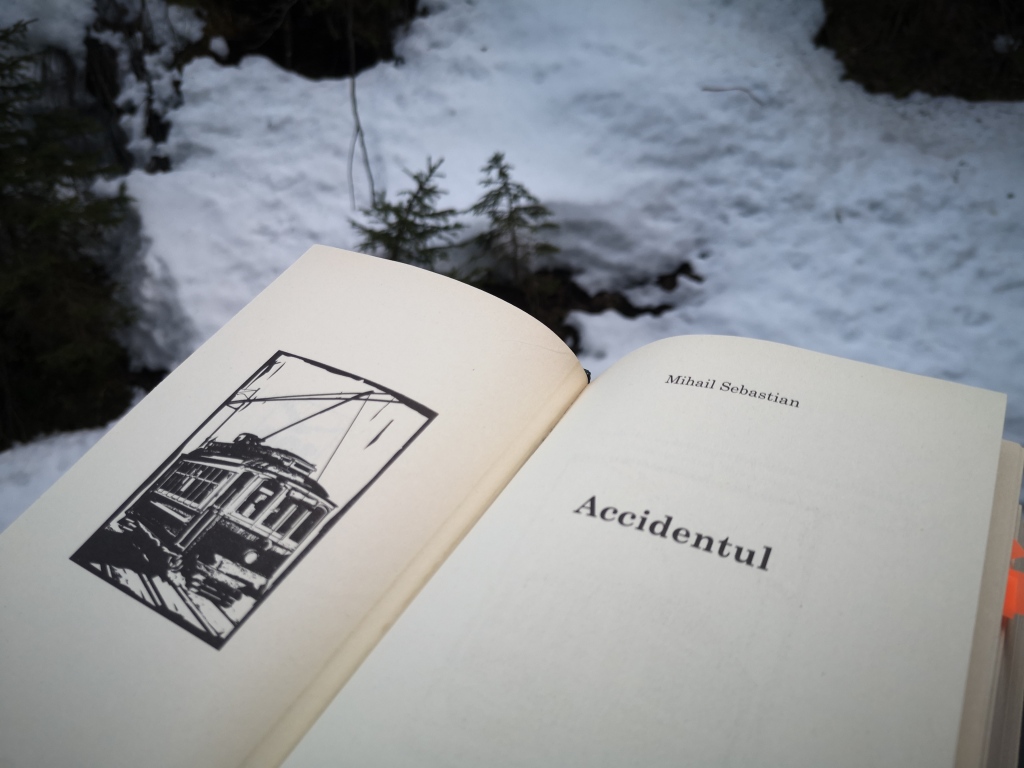 “Accidentul”, roman interbelic de citit iarna