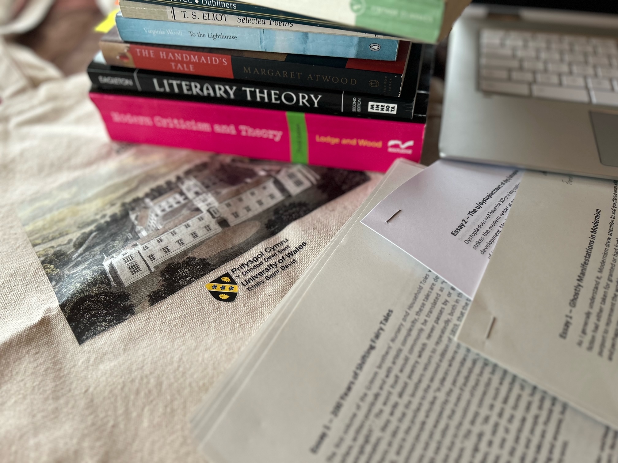 7 Reasons Why Pursue an MA in English Literature 