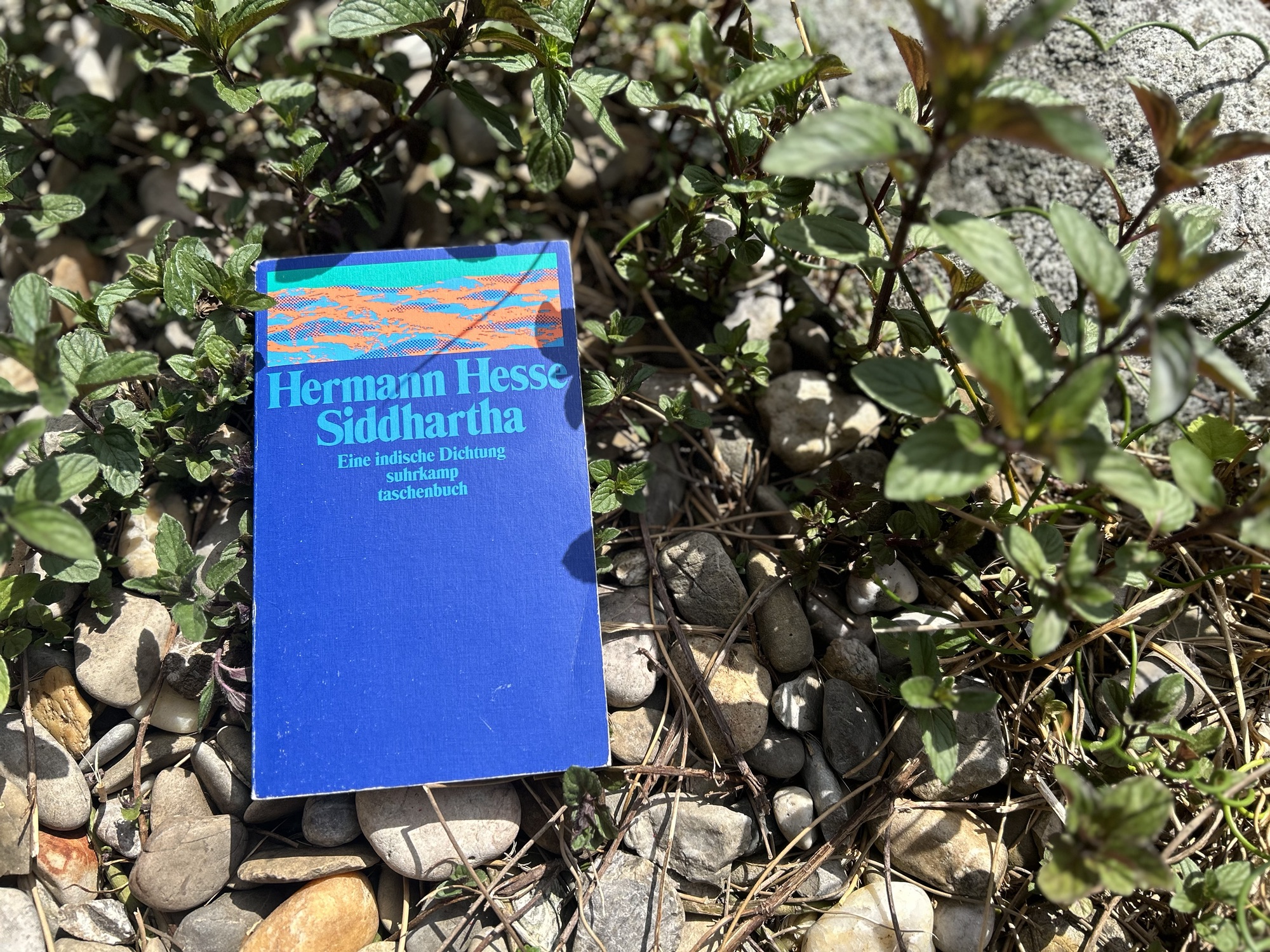 Siddhartha – Was man von Flüssen lernt 