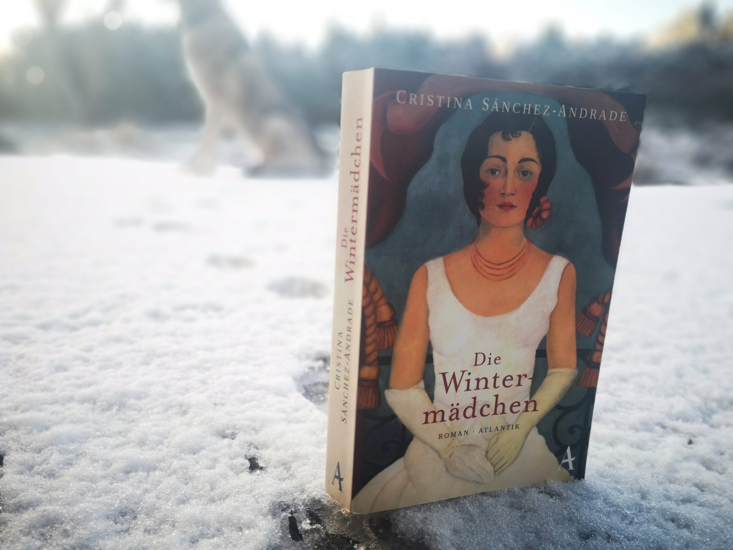 Die Wintermädchen – kein übliches Winter Buch 