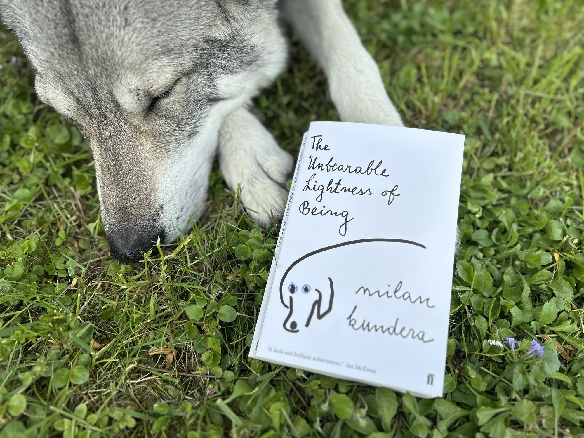 The Unbearable Lightness of Being and a Dog Named Karenin