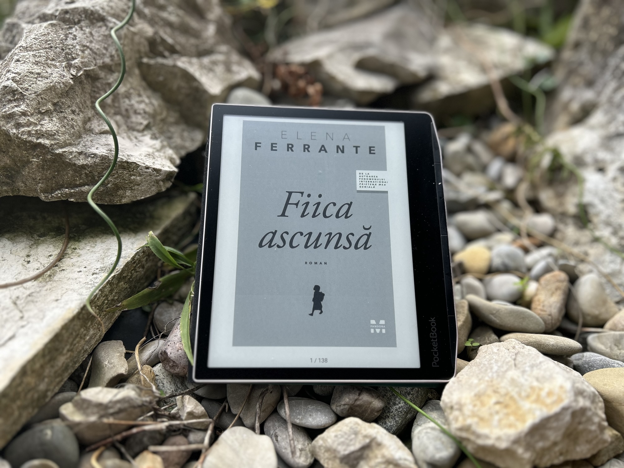 Fiica ascunsă sau povestea mereu rescrisă à la Ferrante
