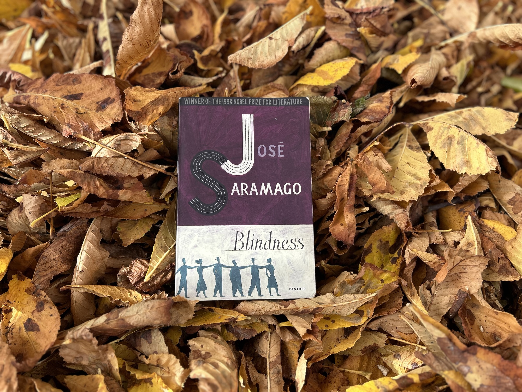 Blindness by José Saramago, an Allegory of Unseeing