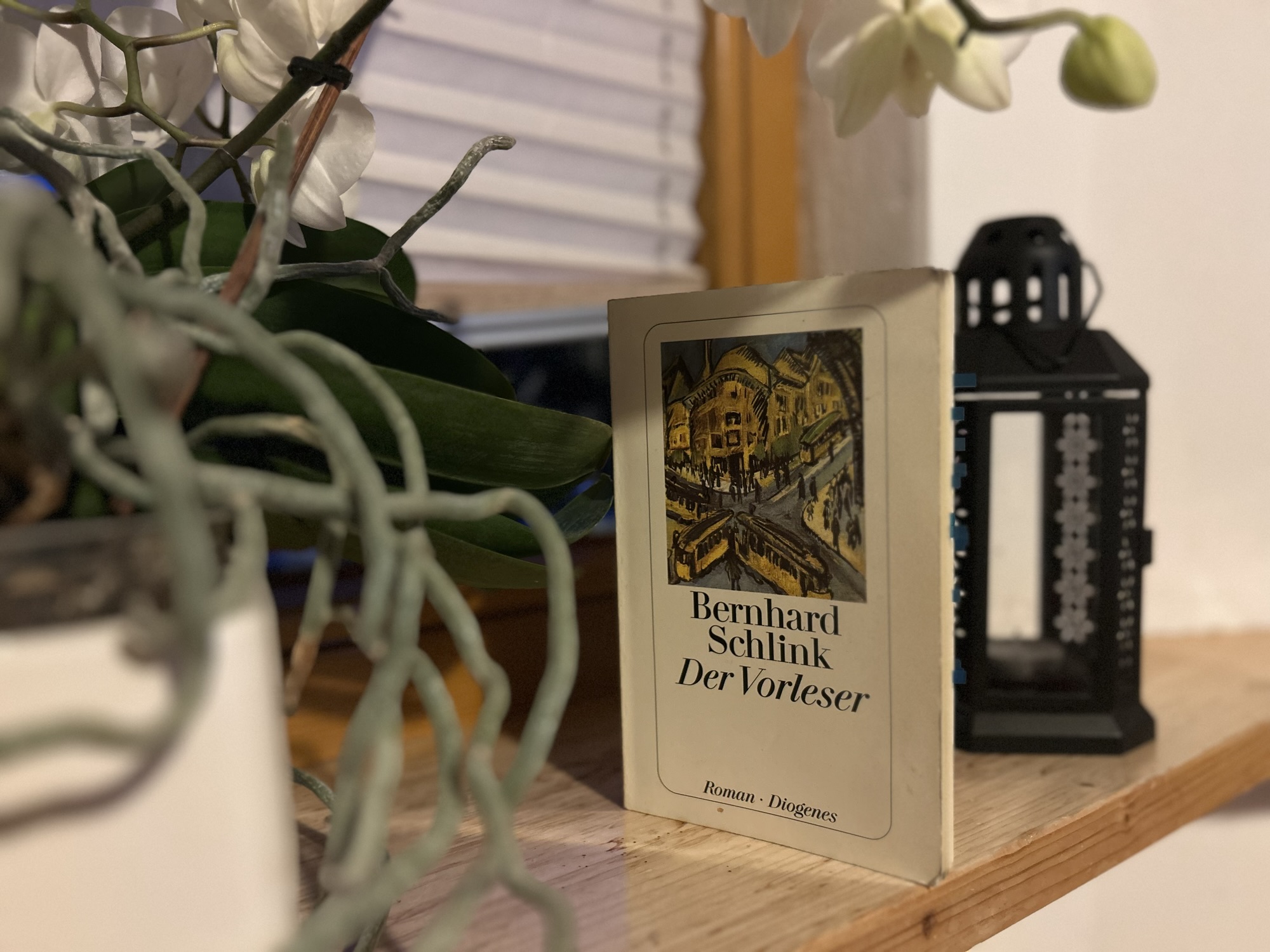 Fragen, die „Der Vorleser“ stellt