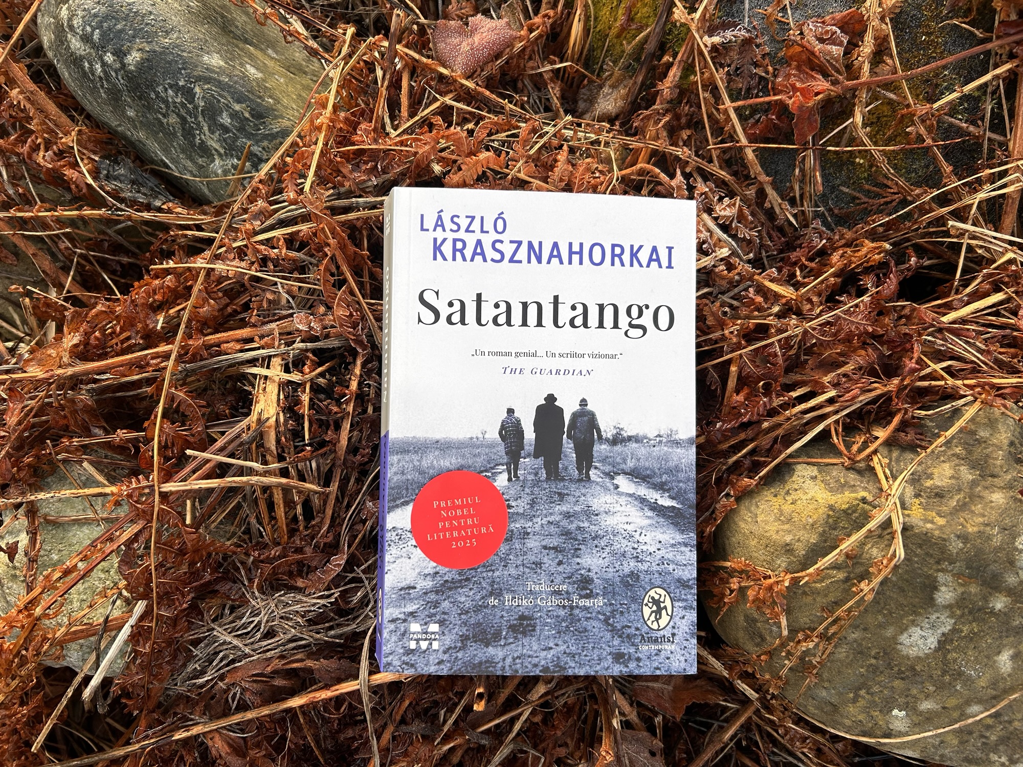 Satantango, de un gotic realist