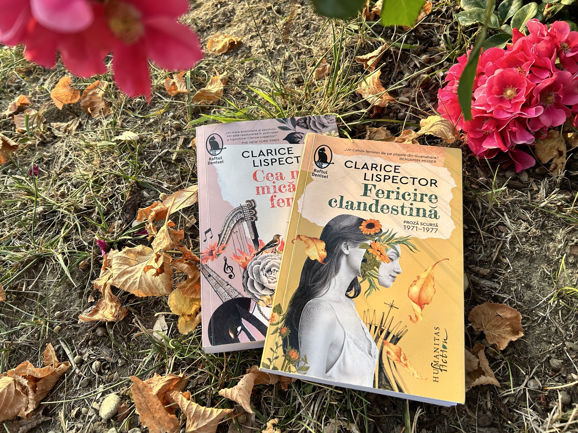 Povestirile stranii ale lui Clarice Lispector